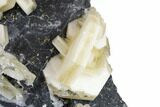Sandwich Calcite Crystal Cluster with Pyrite - Inner Mongolia #181717-5